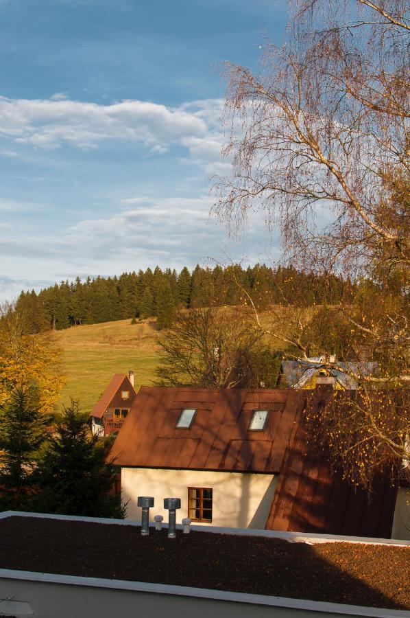 Horní BlatnáU Zlate Brizy Krusne Hory - Erzgebirgeアパートメント エクステリア 写真