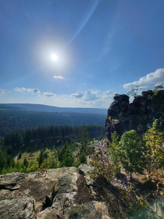 Horní BlatnáU Zlate Brizy Krusne Hory - Erzgebirgeアパートメント エクステリア 写真