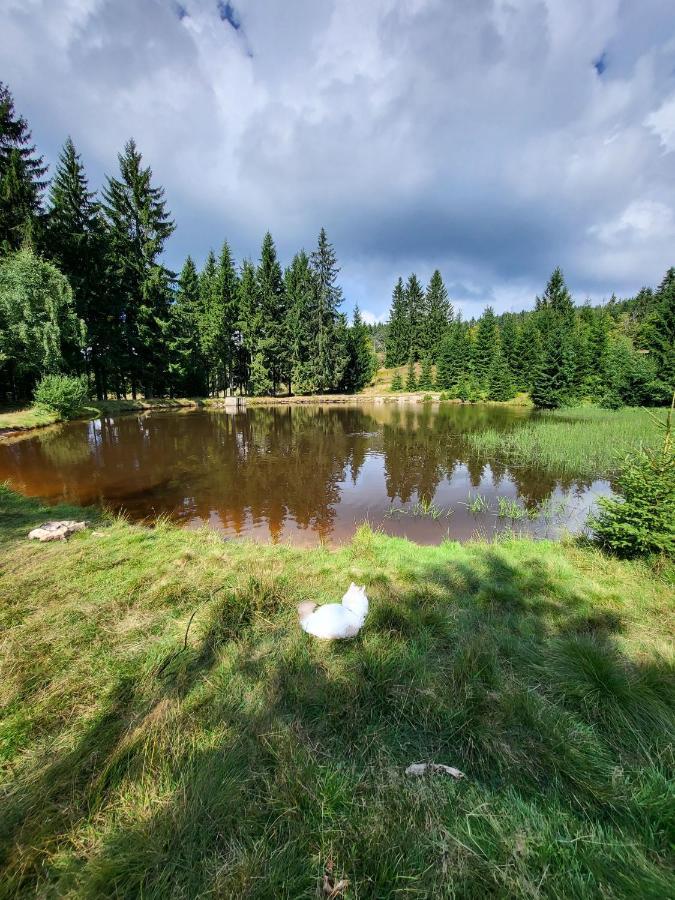 Horní BlatnáU Zlate Brizy Krusne Hory - Erzgebirgeアパートメント エクステリア 写真
